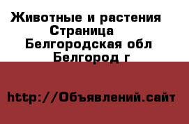  Животные и растения - Страница 4 . Белгородская обл.,Белгород г.